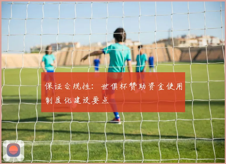 保证合规性:世俱杯赞助资金使用制度化建设要点