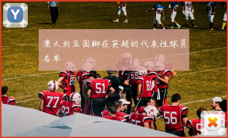 澳大利亚国脚在英超的代表性球员名单