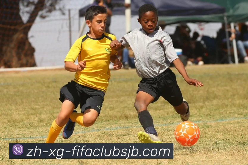 世界杯赛程发展历程