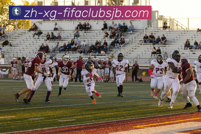 法甲顶级射手得分效率与进球分布分析